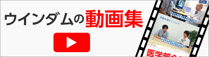 ウインダムの動画集