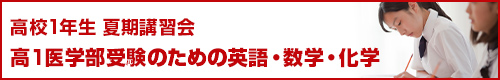 高校1年夏季講習会